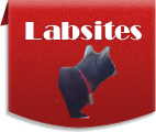 Labsites